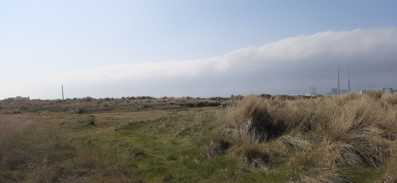 a landscape view of grassy land of bull island with the two poolbeg chimneys in the distant background