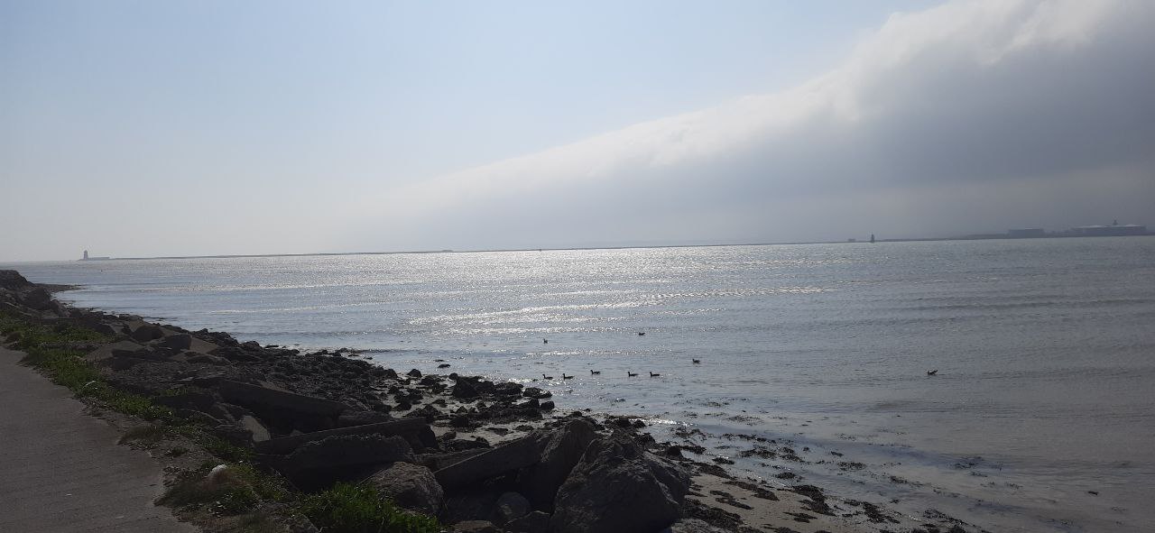 a landscape view of the ocean waves visible from the road that leads to bull island